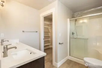 Master bathroom with walk-in closet