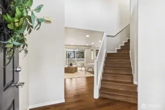 Welcome home!