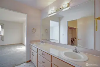 Primary bathroom ensuite with dual vanity, shower, bath tub and a walk in closet..