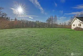 Big enough area for a soccer game, croquet, volleyball or any other outdoor activity.