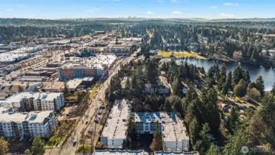 (S) View near Bitter Lake