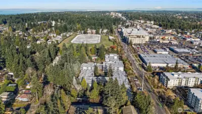 (N) View near Bitter Lake