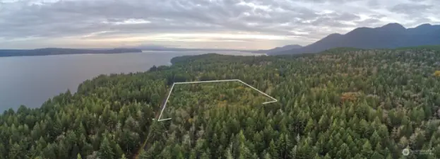 South facing view of the site.