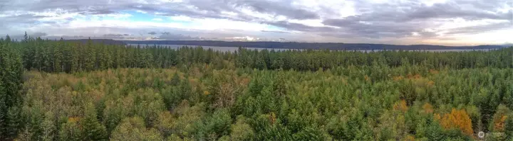 Nice mix of conifers and deciduous trees. Clear an area for gardens, barns and animals.