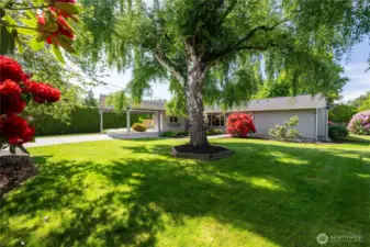 Welcome to 1215 S Walnut Street, Burlington, WA 98233