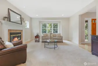 The living area is expansive and has beautiful views of the greenery outside.