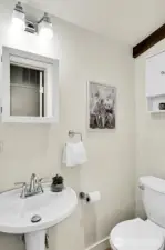 Back Hall Bathroom