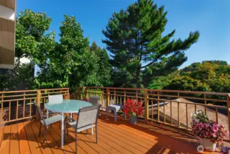 Deck off the kitchen