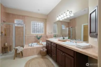Bright and beautiful primary bedroom with abundant natural light, top-down/bottom-up blackout blinds, a full tile shower, marble tile double vanity, and a large walk-in closet.