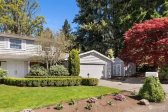 You will love this peaceful mid-island location with convenient access to downtown Mercer Island and I-90.