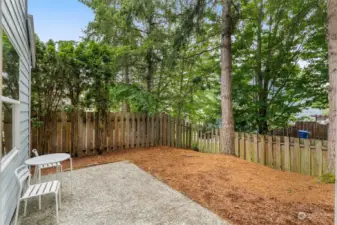 Almost fully fenced backyard (just need a gate)