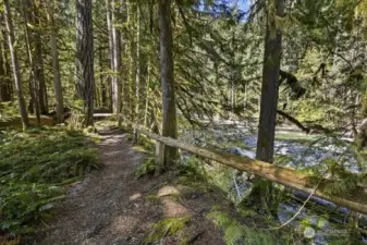 Walking Trails surround the community