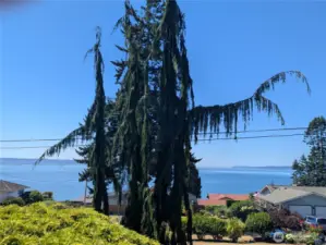 Such a lovely home, and the views are breathtaking!