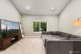 Bonus Room/Media Room