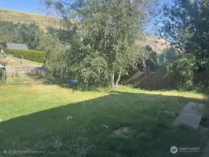 Front yard