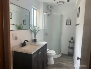 Basement Bathroom