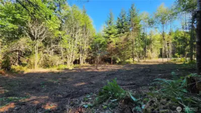 Home site is cleared and waiting for your home!