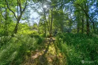 Private nature trails to beach