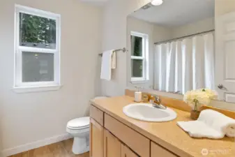 Guest bathroom, with shower and tub.