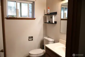 Lower floor full bathdroom