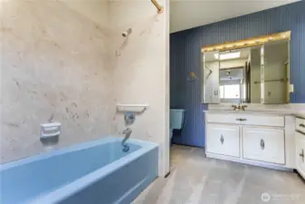 another view of primary bathroom