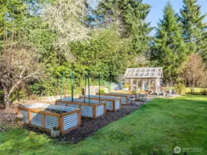 Super cute greenhouse with raised beds ready for your spring seeds!