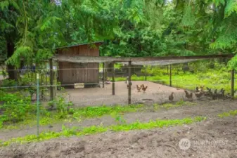 Chicken Coup for your happy hens.