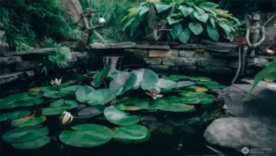 Water feature.