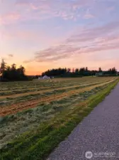 Drive past Picturesque Historical North Camano Farms to Sundin Beach Below~