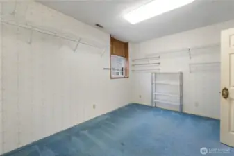 2nd of 2 additional finished rooms with closets downstairs