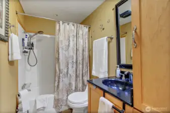 Hallway Bathroom