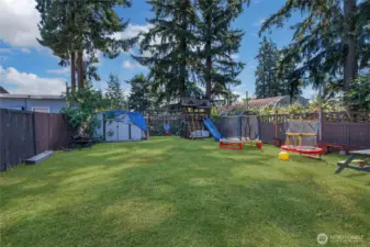 Backyard