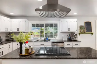 There's  a view of the backyard from the sink area.