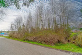 Lightly treed - level for building.