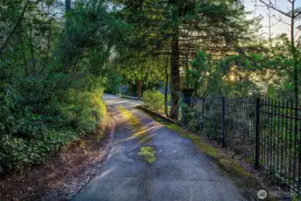 This gently curving, tree-lined drive offers more than access—it offers arrival. Nestled between native plantings and a discreet fence line, the journey to 7314 unfolds in peace and privacy. Here, filtered light, birdsong, and a whisper of salt air guide you home to your hidden retreat above the shores of Caledonia Cove.
