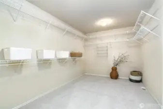Primary Walk-in closet