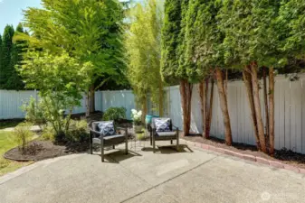 Backyard Patio