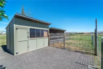 Chicken coop with securely enclosed/covered run. They even have their own chicken yard for grazing.