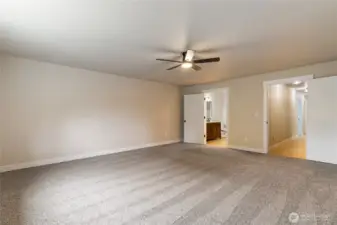 Brand new carpet!