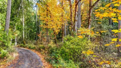 Gravel Road off Patterson