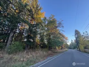South facing picture taken from north end end of 52nd Ave. S. facing south down 52nd Ave. S., a dead-end street. 52nd Ave. S. currently serves just one (1) home at this time, and will eventually serve just nine (9) homes.