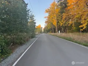 North facing picture taken from north end end of 52nd Ave. S. facing north towards the closest cross-street, S. 368th St.  52nd Ave. S. is a dead-end street that currently serves just one (1) home at this time, and will eventually serve just nine (9) homes.