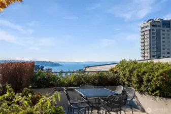 Devoted garden club.