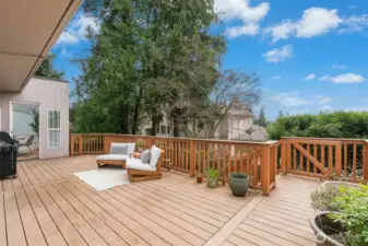 Expansive trex deck off the main level