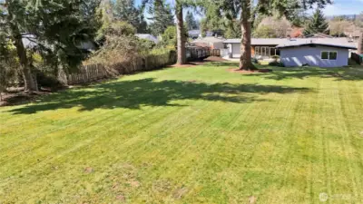 Beautiful .47 acre, room to recreate and entertain