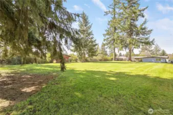 .47 acre with a few mature evergreens