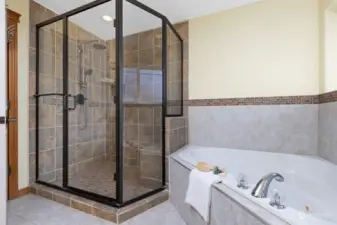 Huge shower and tub!