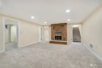 family room. fireplace. lower level