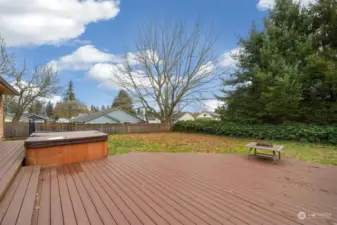 Backyard. Deck. hot tub