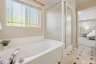 Relax with a soaking tub in the primary bath.
